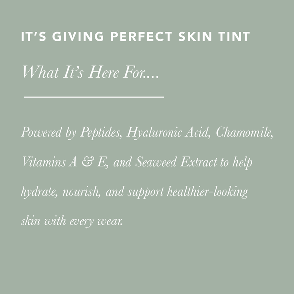 It’s Giving Perfect Skin Tint / Brilliant Bronze