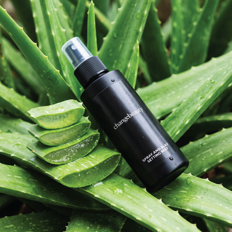 Spray and Slay Setting Mist