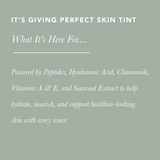 It’s Giving Perfect Skin Tint / Brilliant Bronze
