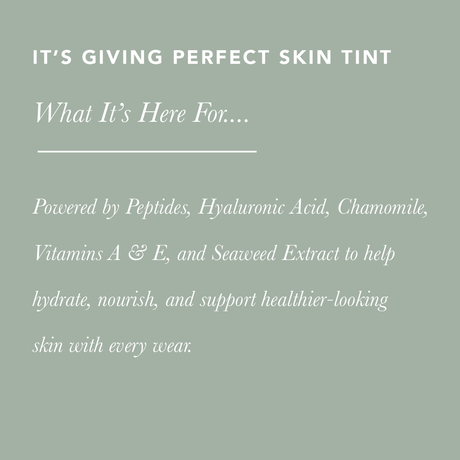 It’s Giving Perfect Skin Tint / Brilliant Bronze